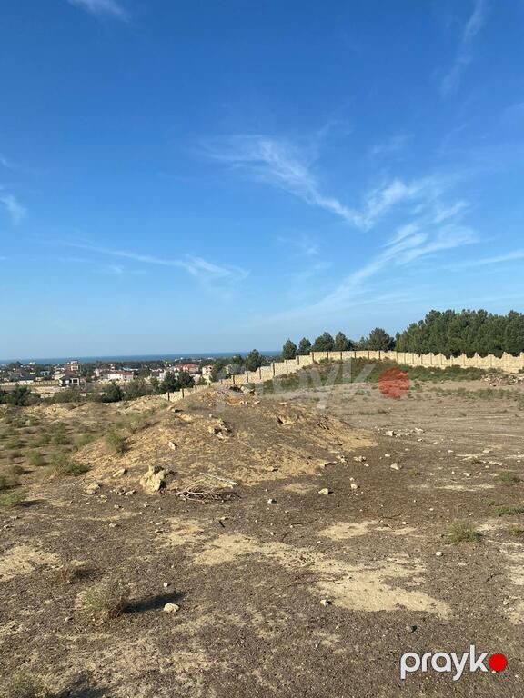 Satılır torpaq 220 sot — Torpaq, Bakı (3)