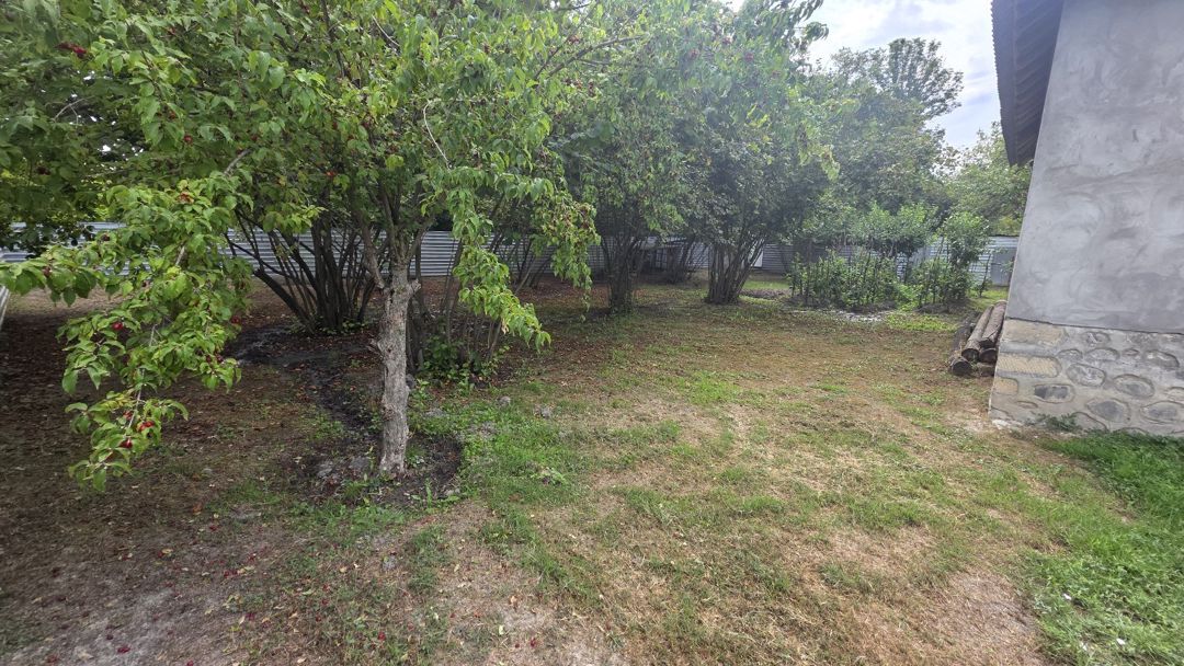 Bağ evi, Oğuz rayonu, Sincan kəndində — Ev, villa, Oğuz (9)