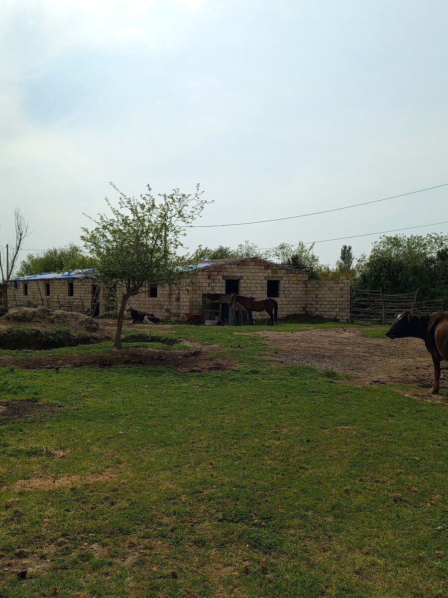 Həyət evi, Sabirabad r. — Daşınmaz əmlak, Sabirabad (7)