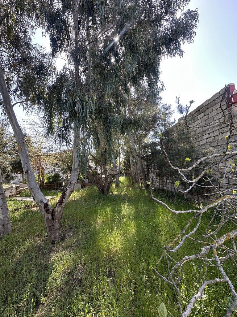 Satılır torpaq 11 sot — Torpaq, Bakı (8)