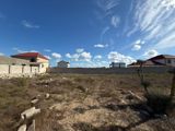 4.5 sot torpaq sahəsi, Şüvəlan qəs. — Abşeron Bağları — Land plot