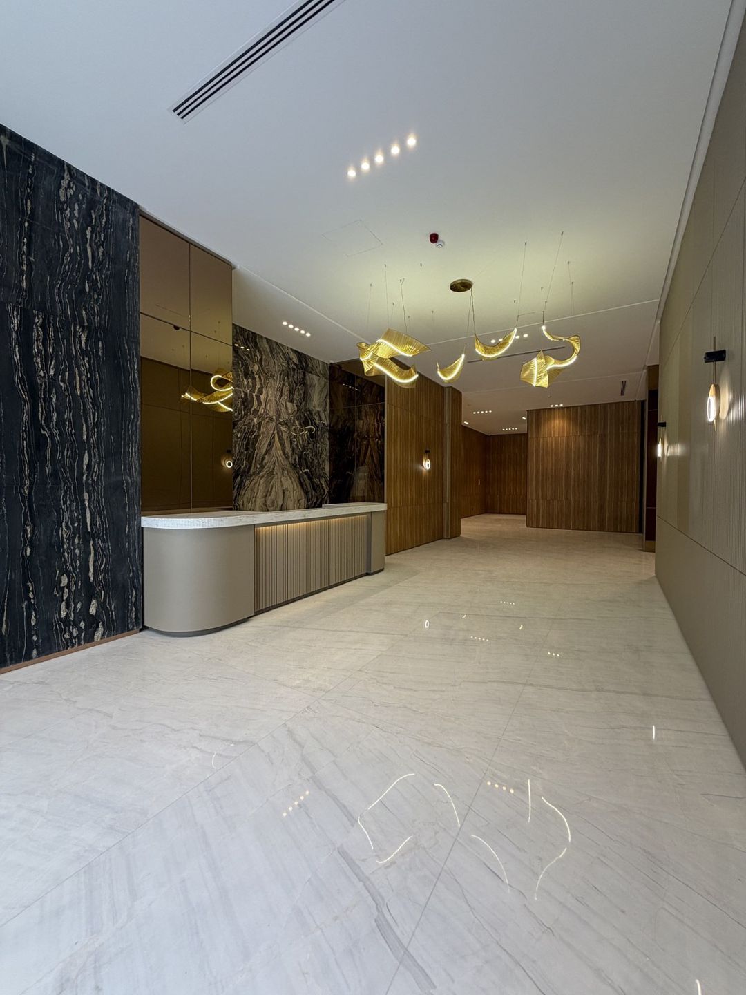 Satılır 7 otaqlı yeni tikili 377 m² — Mənzil, Bakı (2)