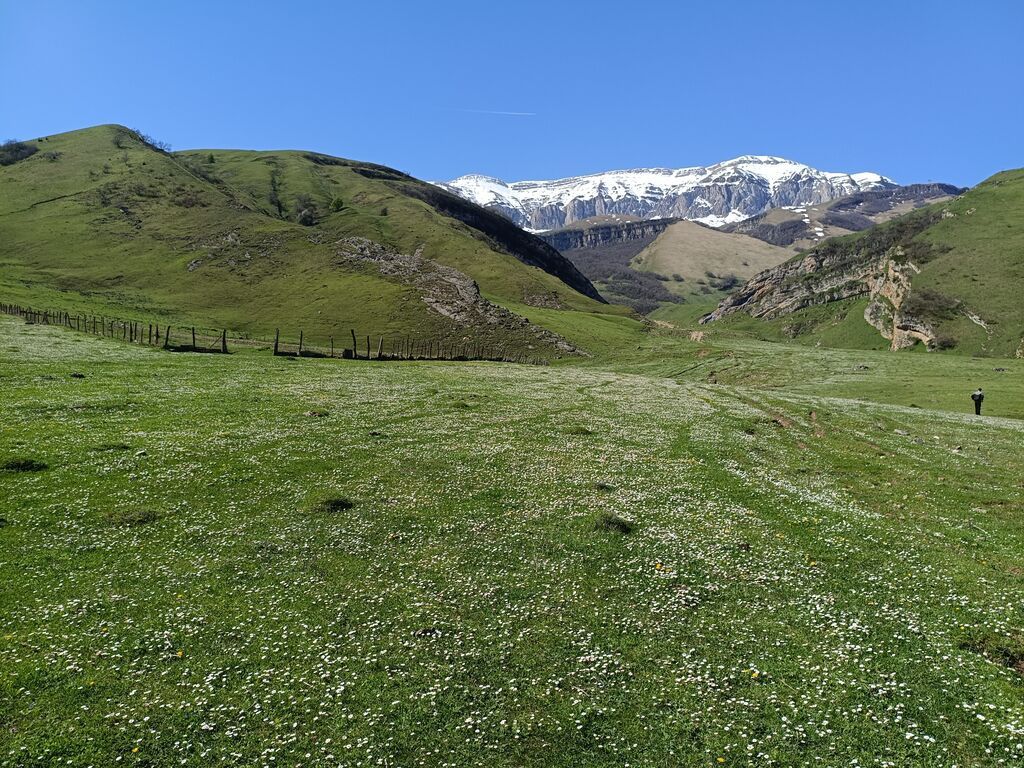 105 sot, Kənd təsərrüfatı, Mülkiyyətçi, Kupça (Çıxarış)