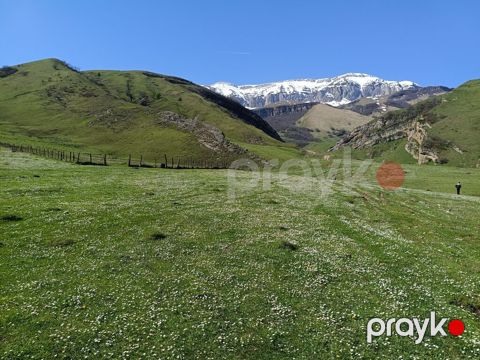 105 sot, Kənd təsərrüfatı, Mülkiyyətçi, Kupça (Çıxarış)