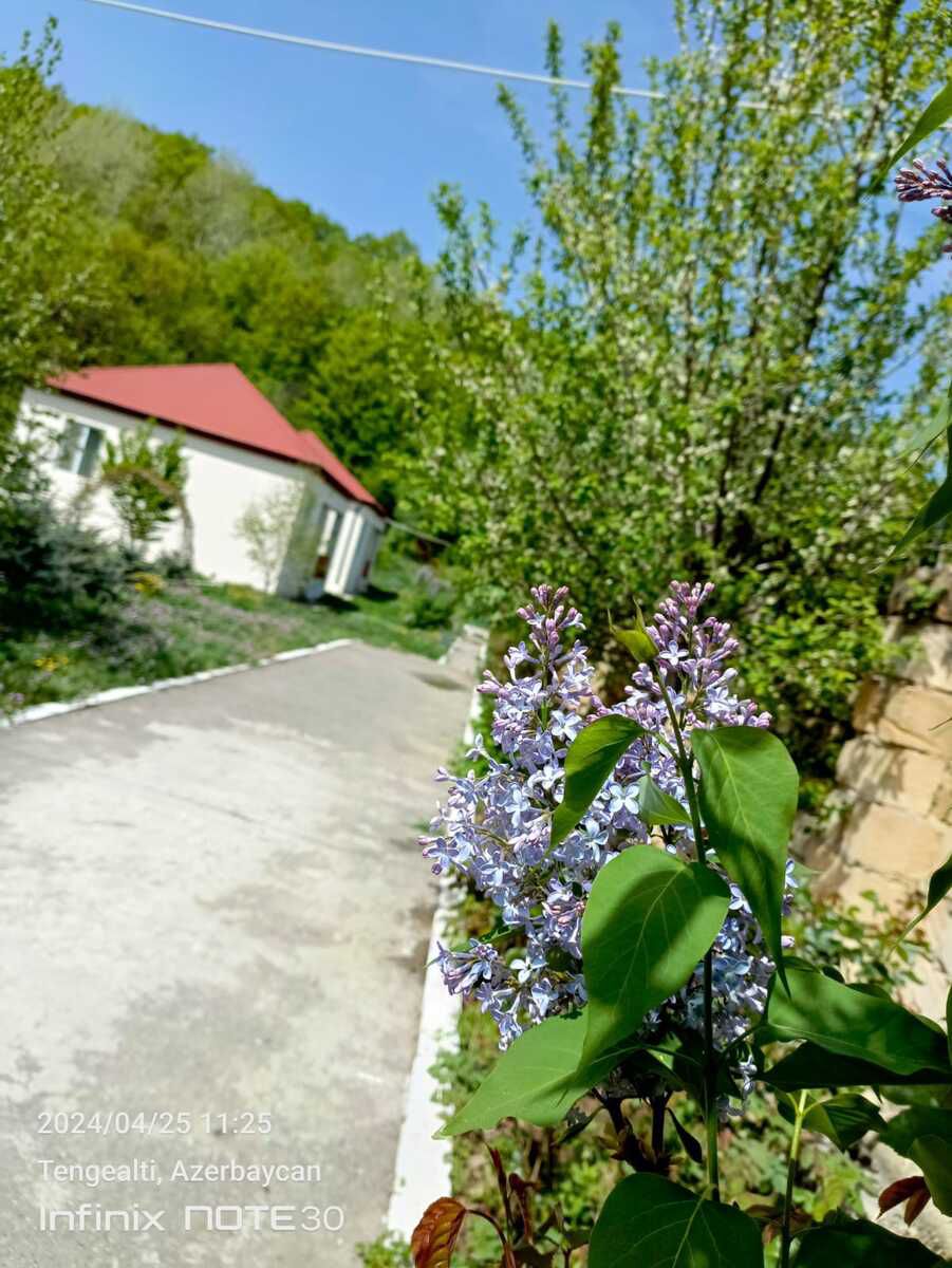 Bağ evi kirayə verilir, Quba r. — Daşınmaz əmlak, Quba (2)