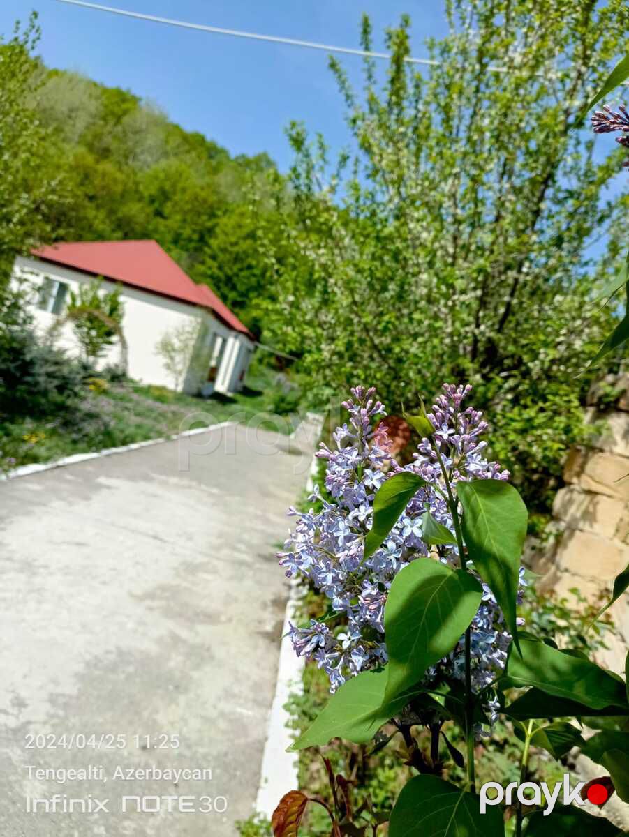 Bağ evi kirayə verilir, Quba r — Ev, villa, Quba (3)