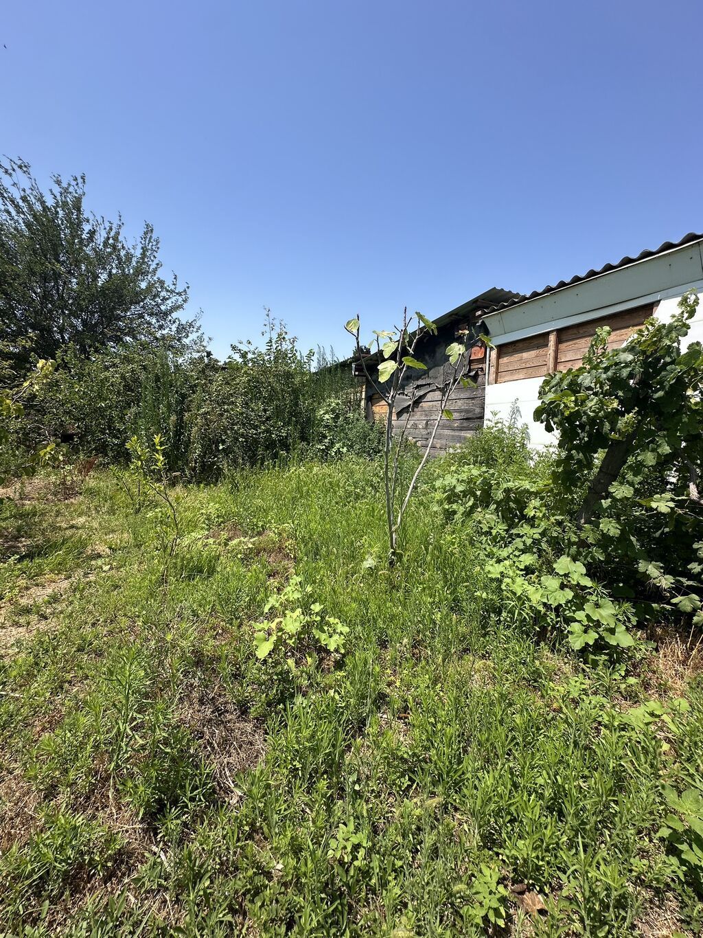 5 sot, Tikinti, Mülkiyyətçi, Kupça (Çıxarış), Texniki pasport — Torpaq, Saray (6)
