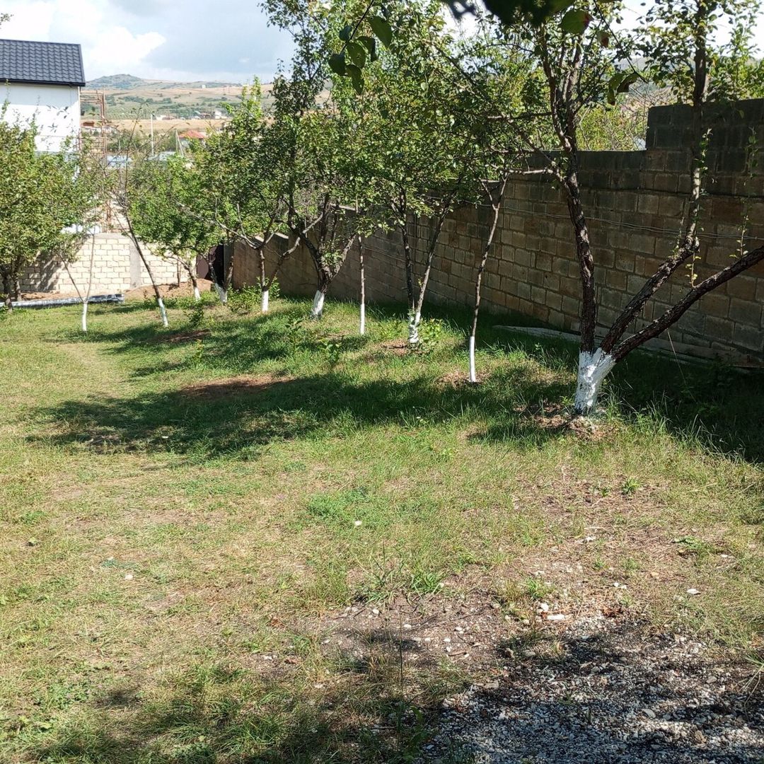 Həyət evi kirayə verilir, Şamaxı r. — Daşınmaz əmlak, Şamaxı (3)