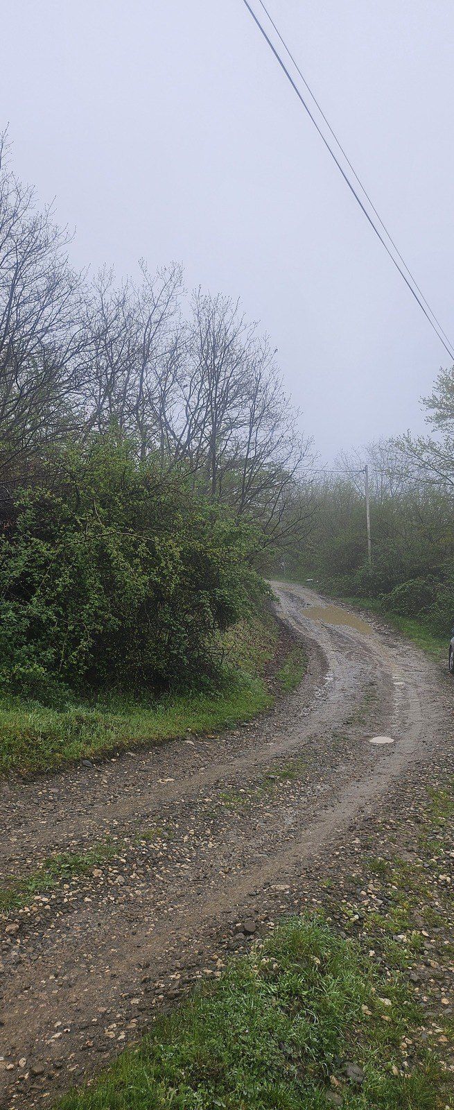 12 sot torpaq sahəsi, Qusar r. — Torpaq, Qusar