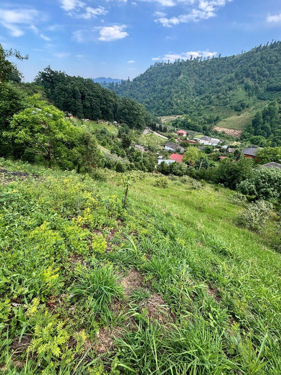 70 sot torpaq sahəsi, Astara ş. — Torpaq, Astara (11)