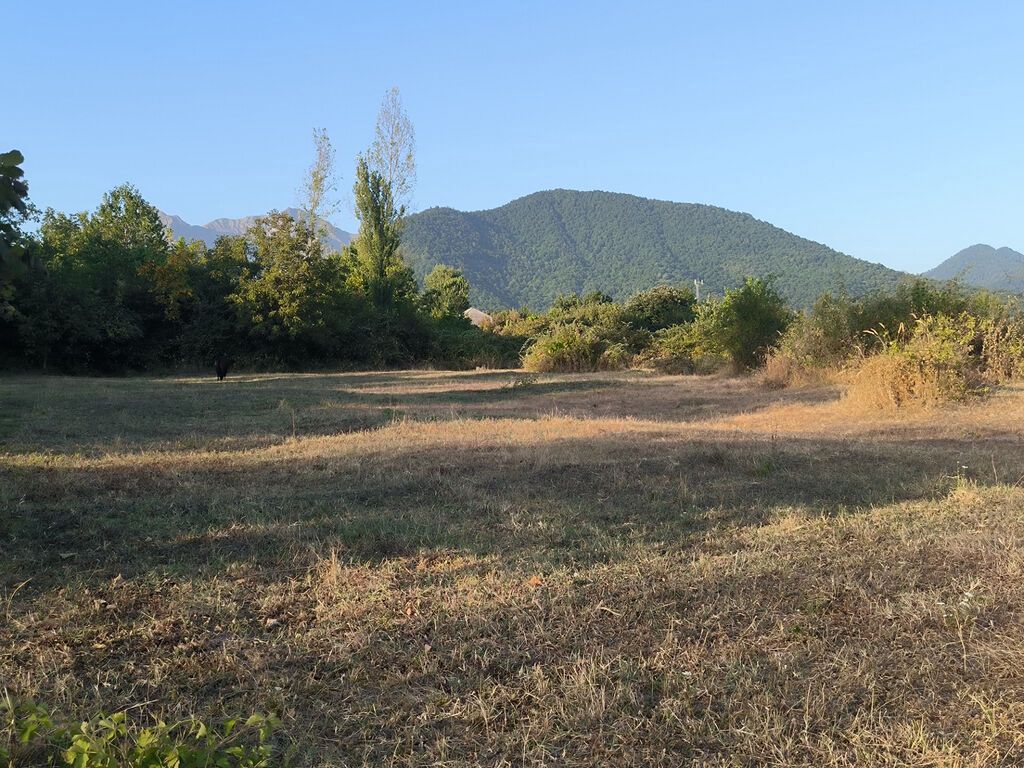 21 sot, Tikinti, Mülkiyyətçi, Kupça (Çıxarış)
