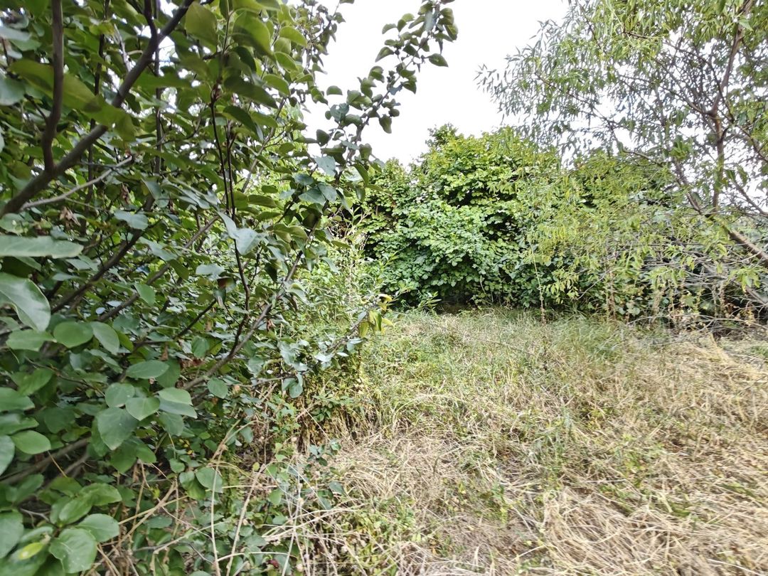 Satılır 5 otaqlı həyət evi/bağ evi 109 m² — Ev, villa, Şamaxı (7)