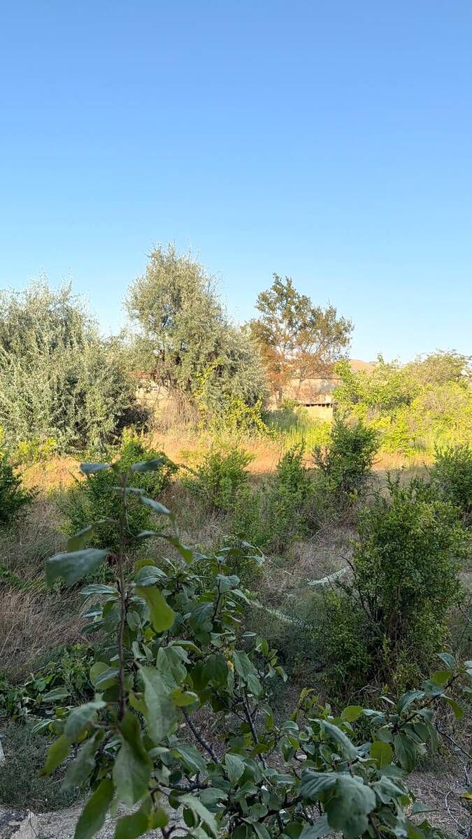 10 sot torpaq sahəsi, Sumqayıt ş. — Torpaq, Sumqayıt (2)