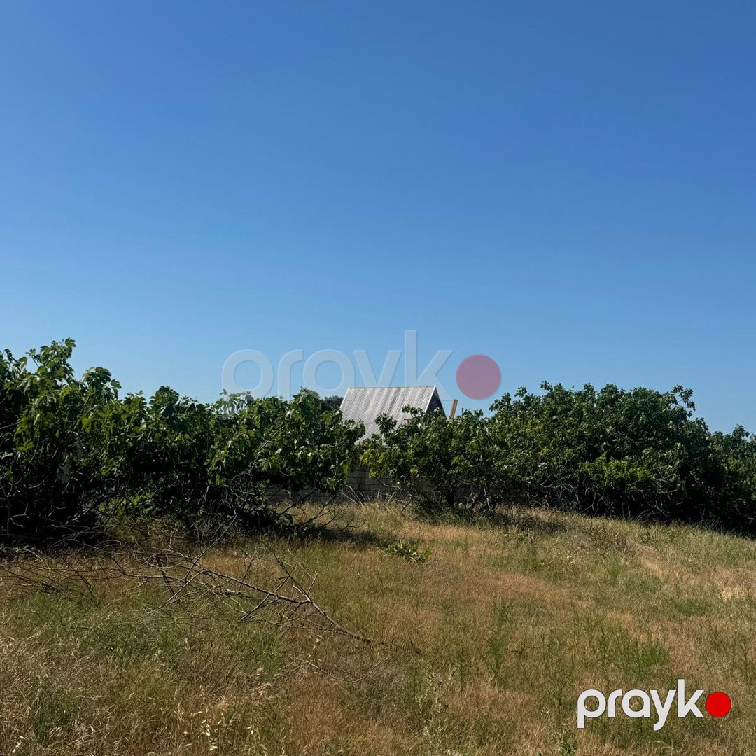 Satılır torpaq 2 sot — Torpaq, Bakı (10)