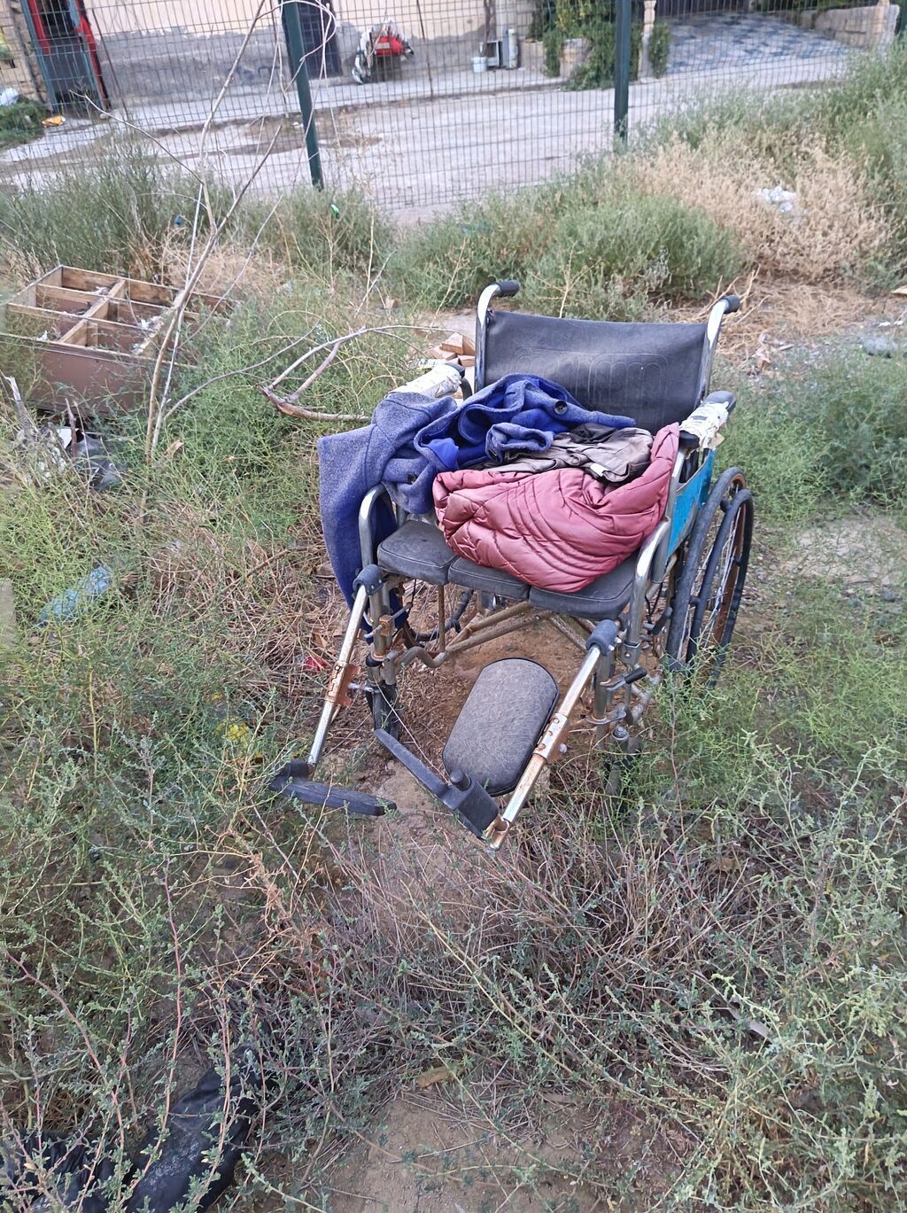 Elil arbasi qiymeti 100 manat — Mallar, Bakı