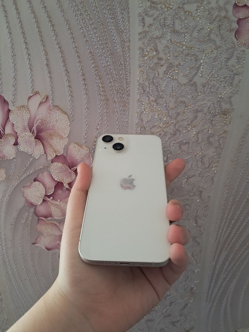 IPhone 13, Ağ