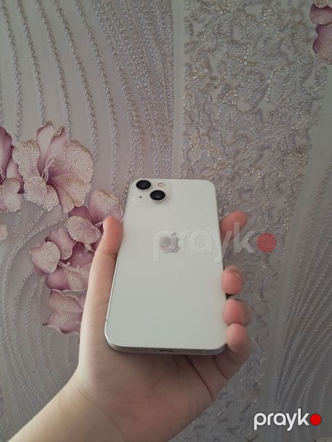 IPhone 13, Ağ