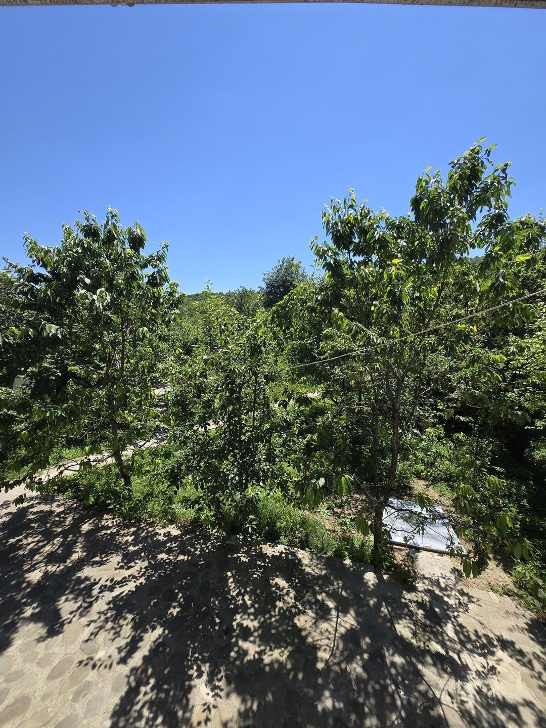 Bağ evi kirayə verilir, Quba r. — Daşınmaz əmlak, Quba (11)
