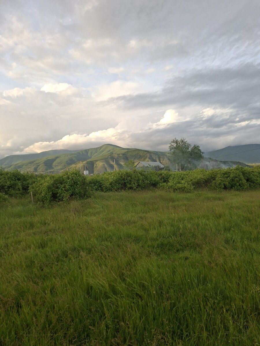 6 sot torpaq sahəsi, Şəki ş. — Torpaq, Şəki (3)