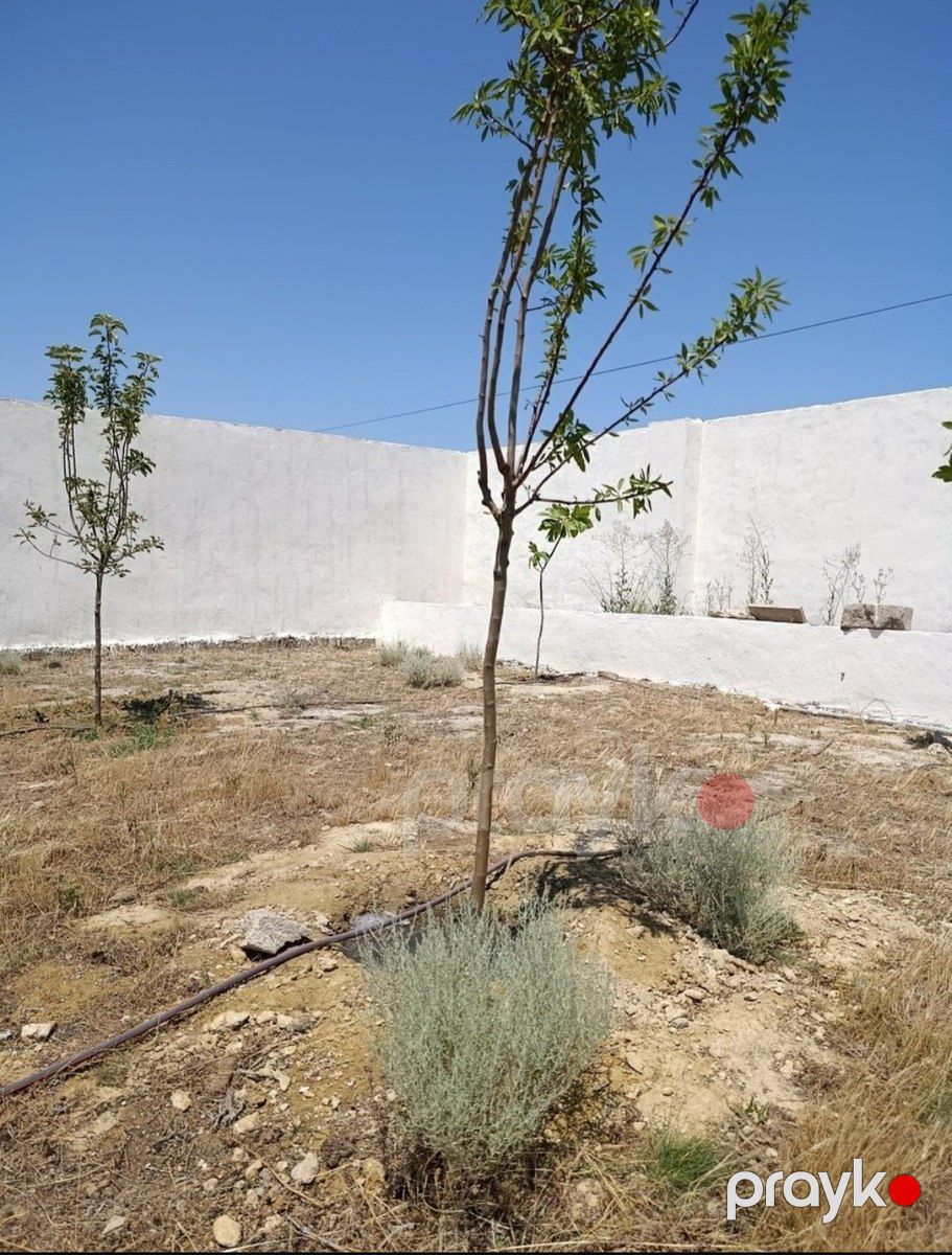 Satılır torpaq 10 sot — Torpaq, Bakı (10)