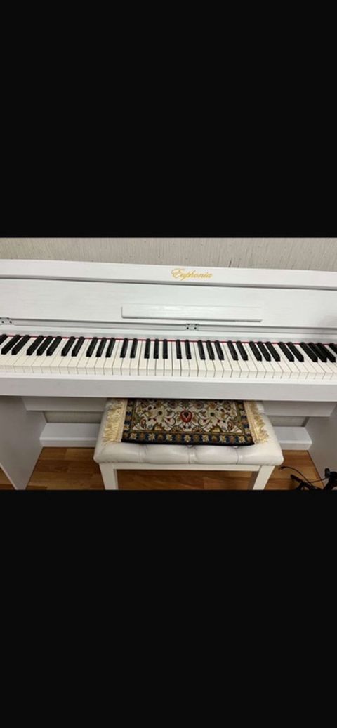 Euphonia rəngli ağ rəqəmsal piano - Tam ölçülü 88 klaviş – klassik
