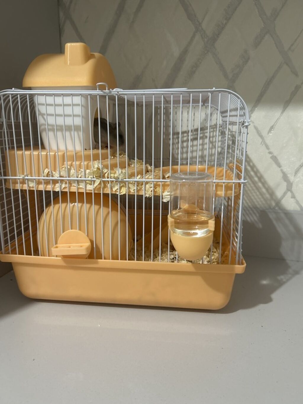 Hamster qəfəsi – tam dəst - İki mərtəbəli kompakt qəfəs, dayanıqlı — Qəfəslər, Bakı (2)