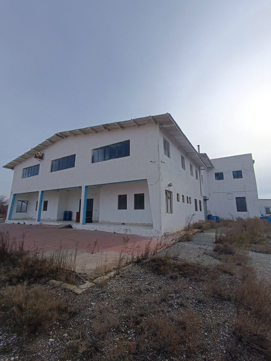 İcarəyə verilir obyekt 1700 m² — Əmlak, Bakı (6)