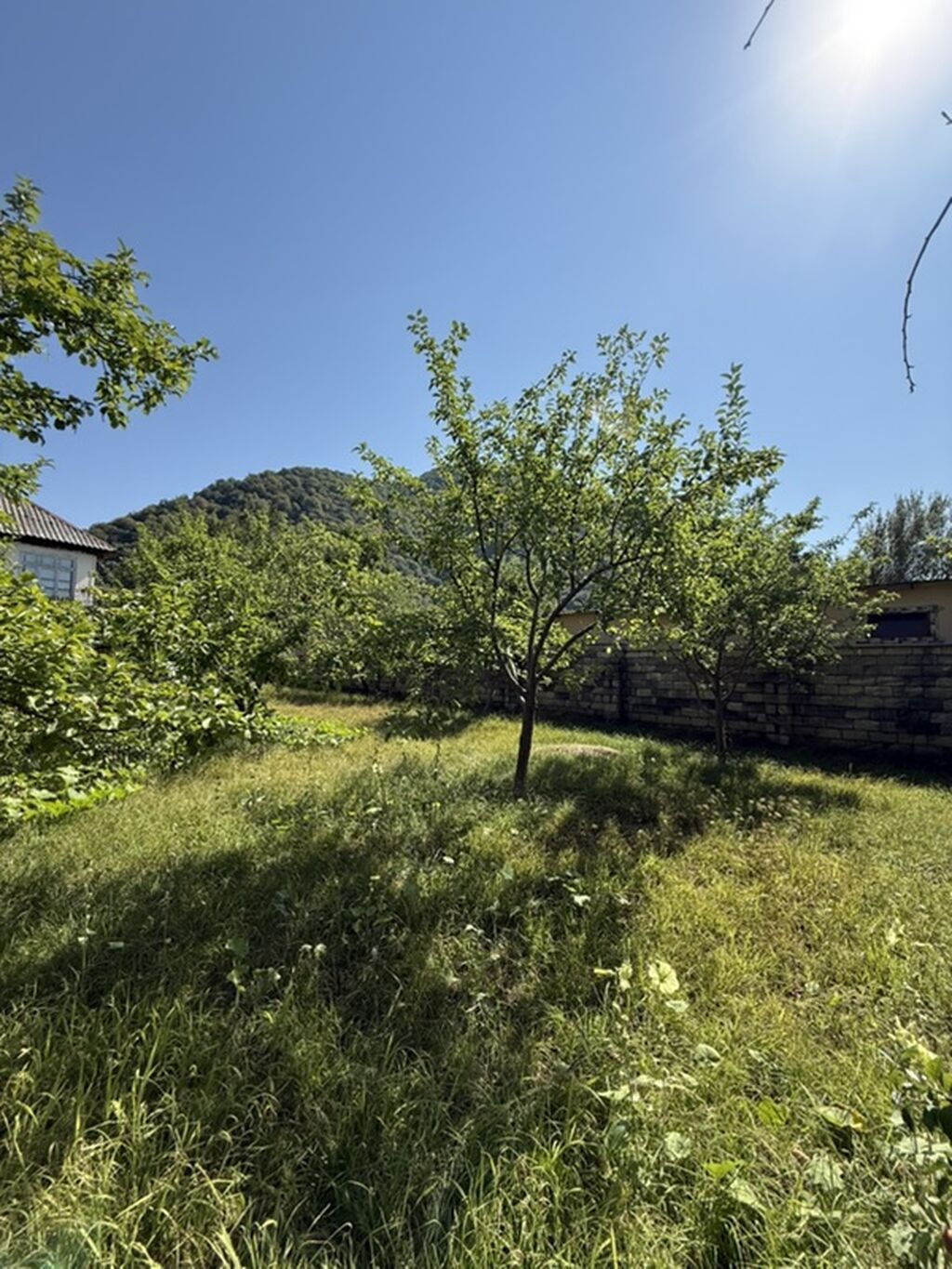 3 sot, Tikinti — Torpaq, İsmayıllı (2)