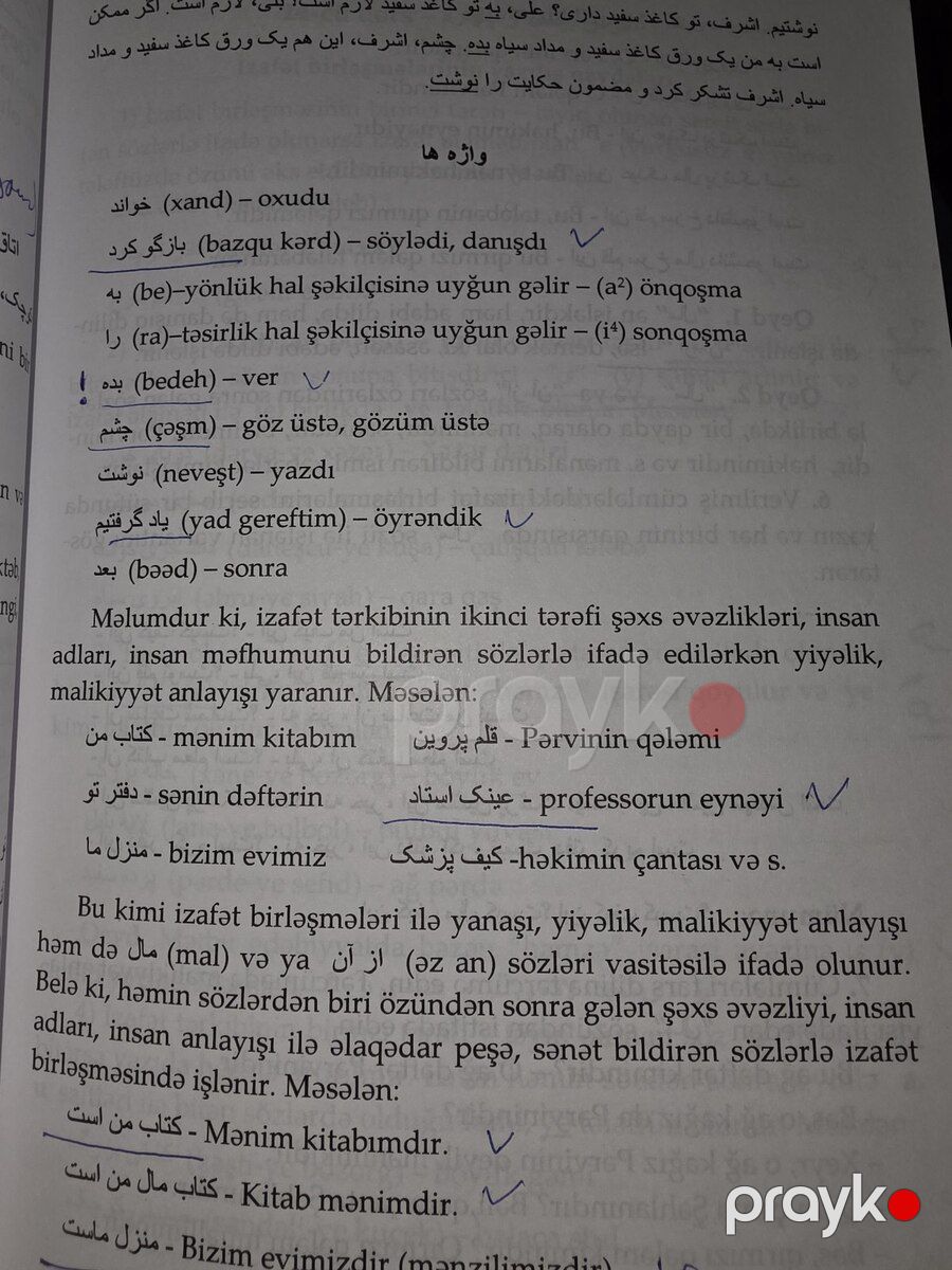 Təhminə Rüstəmova - Fars dili — Mallar, Bakı (5)