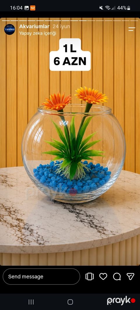 Şüşə akvarium qabı, 1L / 3L, Bohemian tərzində — Bakı