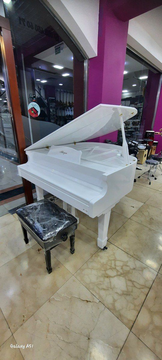 Elektro royal — Musiqiə alətləri, Bakı (2)