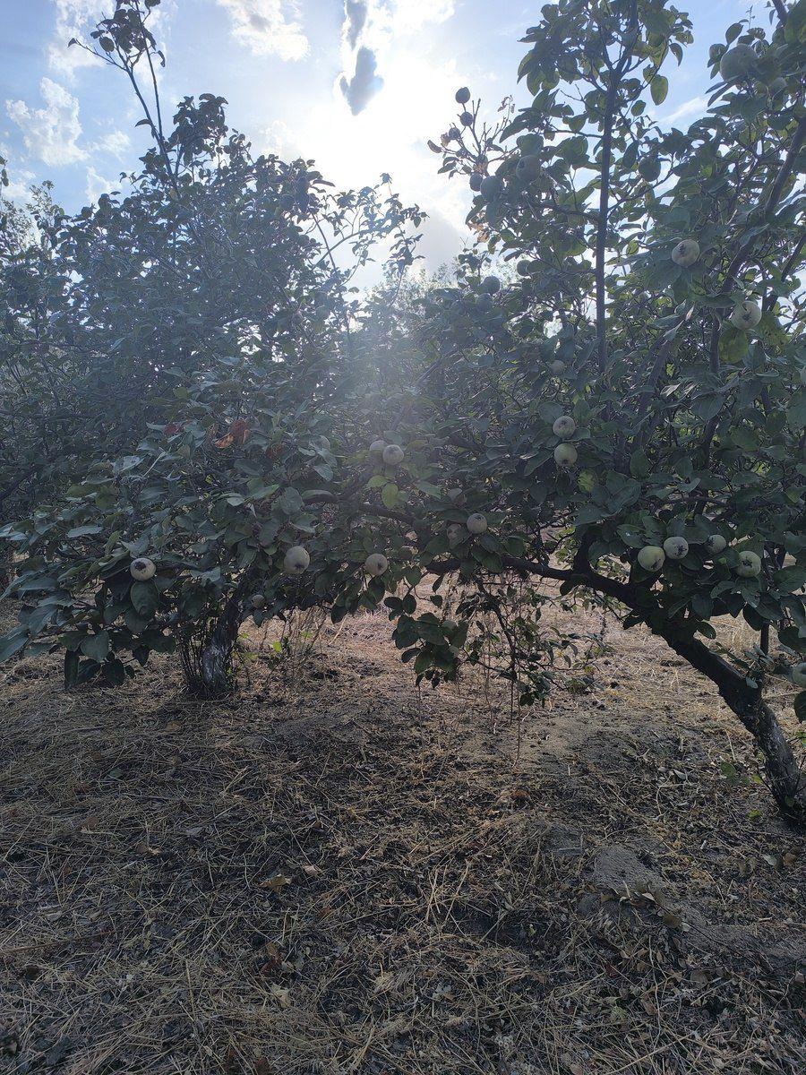 Satılır torpaq 2 sot — Torpaq, Bakı
