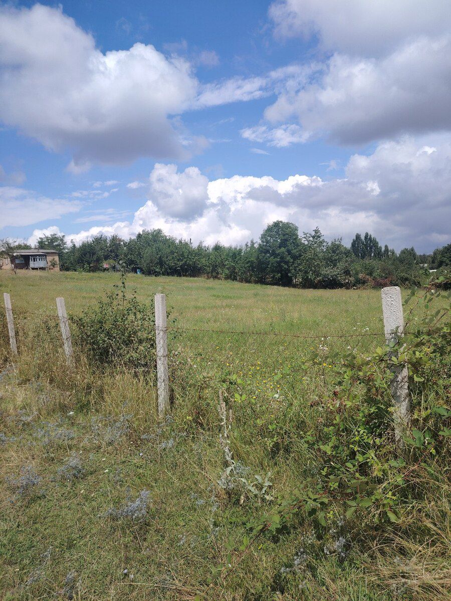 12 sot torpaq sahəsi, Qusar r. — Torpaq, Qusar (8)