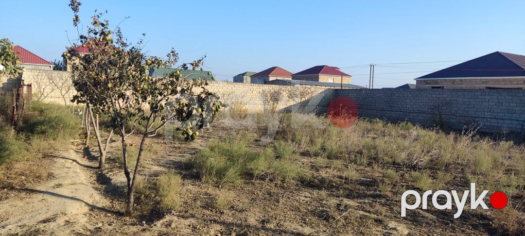 Satılır torpaq 12 sot — Torpaq, Bakı (6)