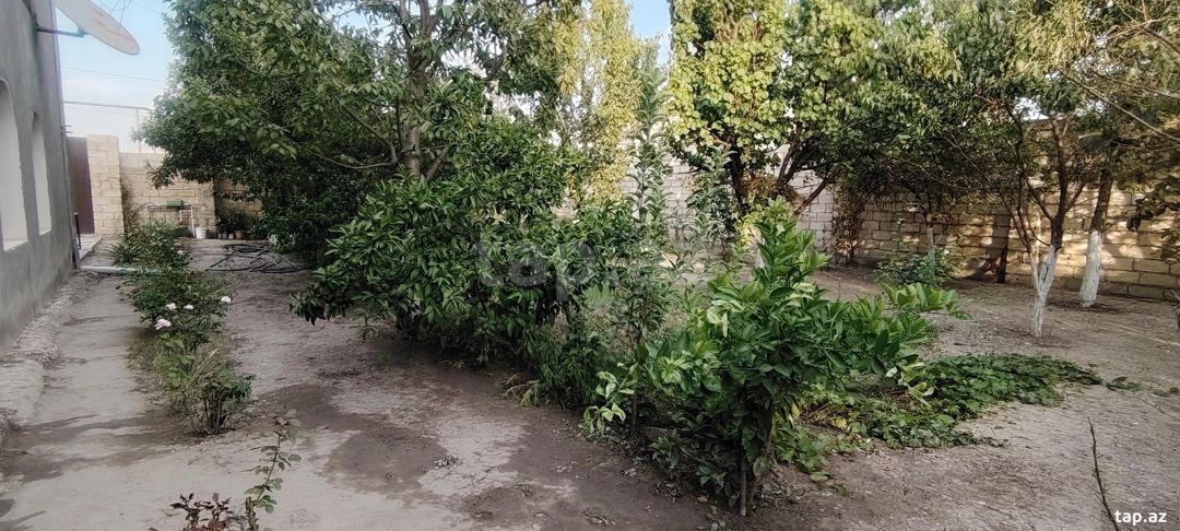 Həyət evi, Ağdaş r. — Daşınmaz əmlak, Ağdaş (12)