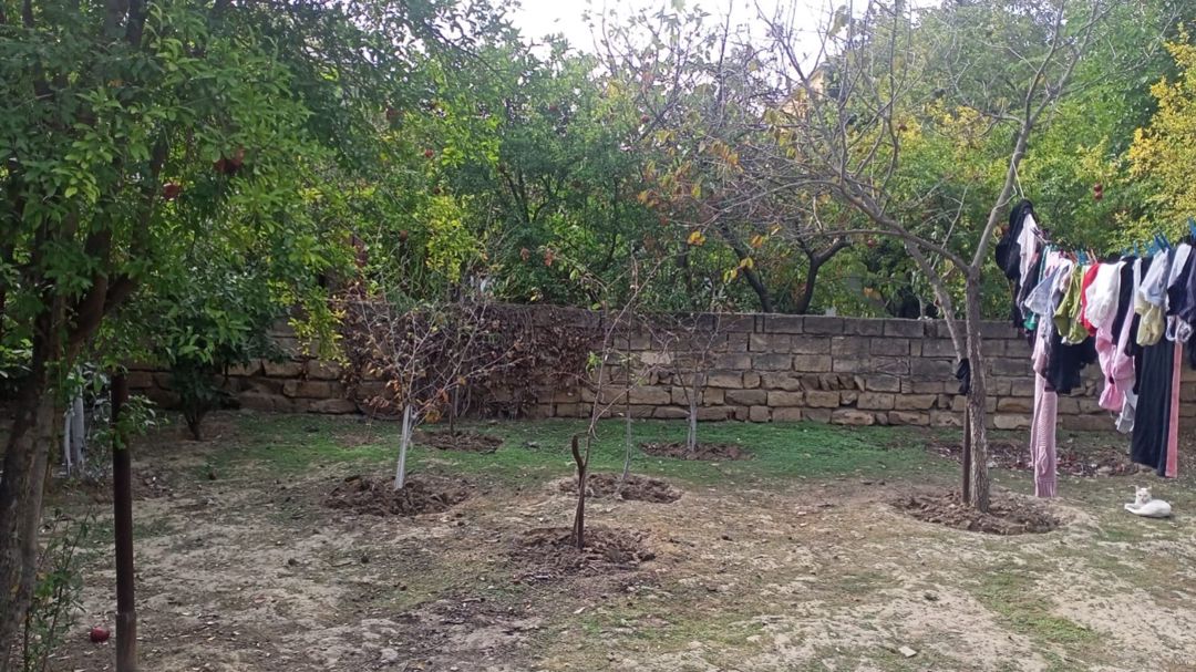 Həyət evi, Badamdar qəs. — Daşınmaz əmlak, Bakı