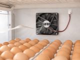İnkubator fanı 12V 12x12x2.5 — IL STORE — Бизнес и оборудование