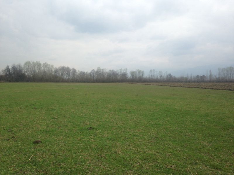 Satılır torpaq 131 sot — Torpaq, Tovuz (3)