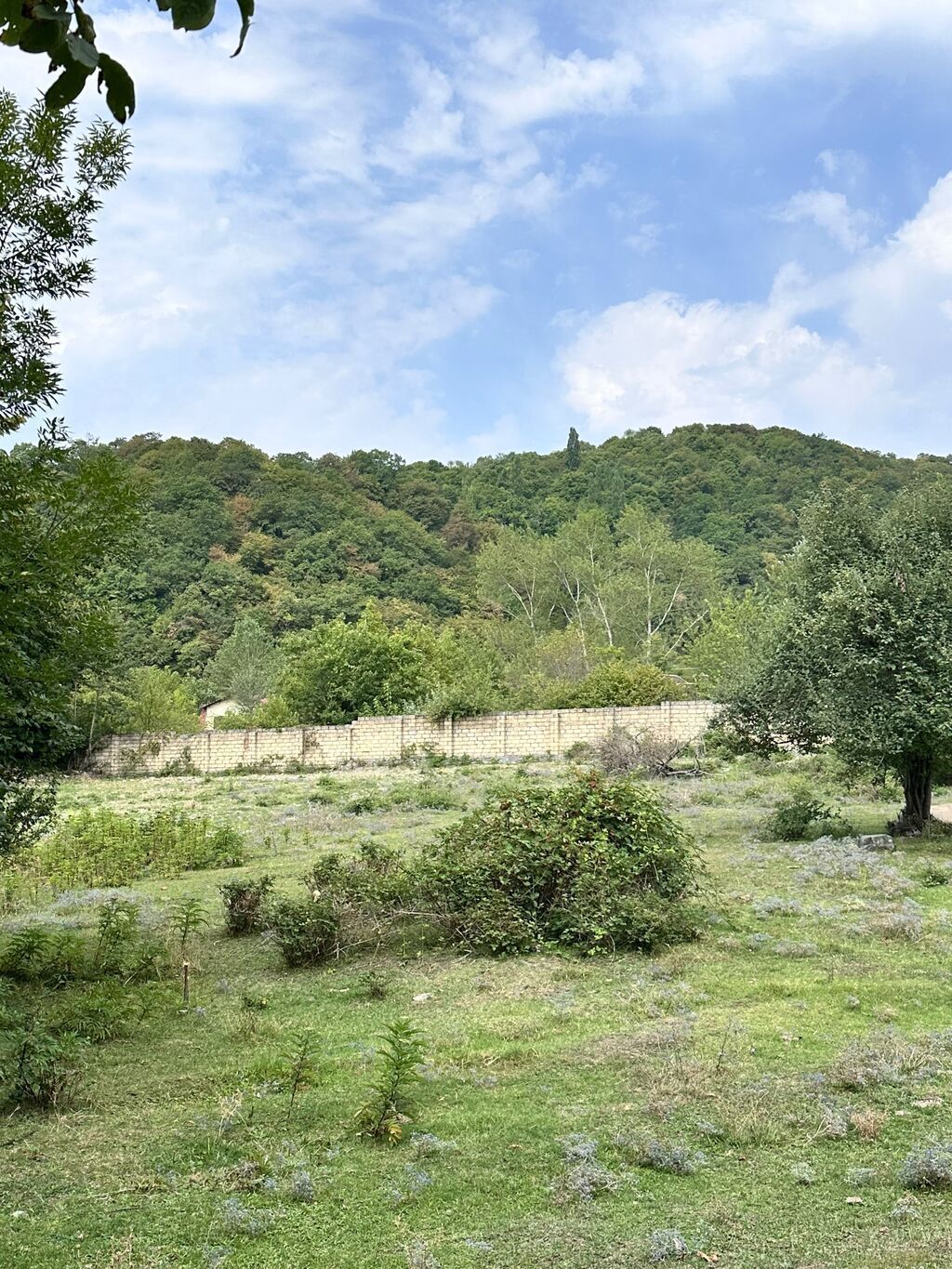 Kənd təsərrüfatı — Torpaq, Qəbələ (5)