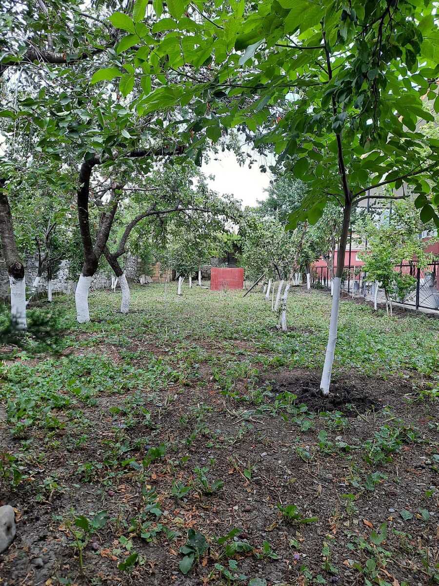 Həyət evi kirayə verilir, Şəki r. — Ev, villa, Şəki (11)