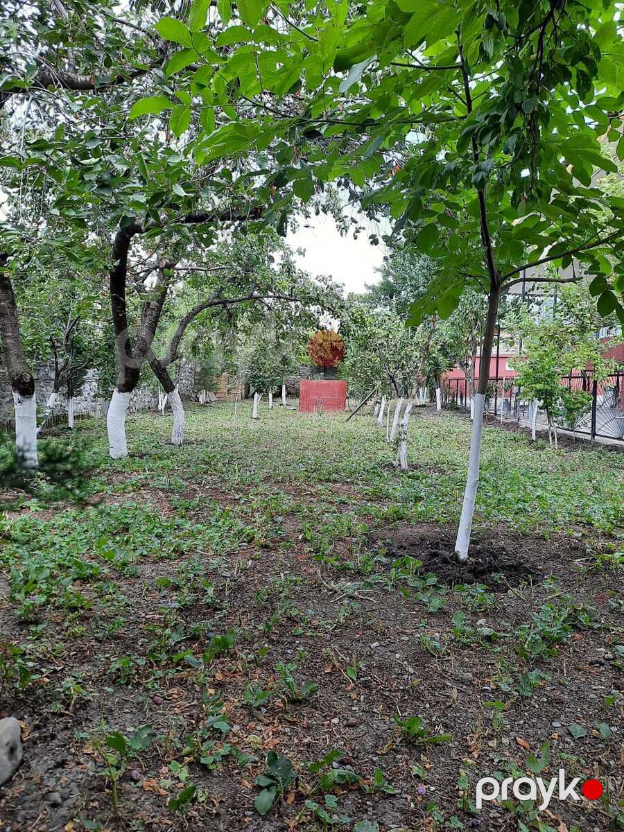 Həyət evi kirayə verilir, Şəki r — Ev, villa, Şəki (11)