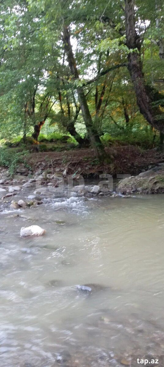 Həyət evi kirayə verilir, Lerik r., Peştətük kəndi — Daşınmaz əmlak, Lerik (12)