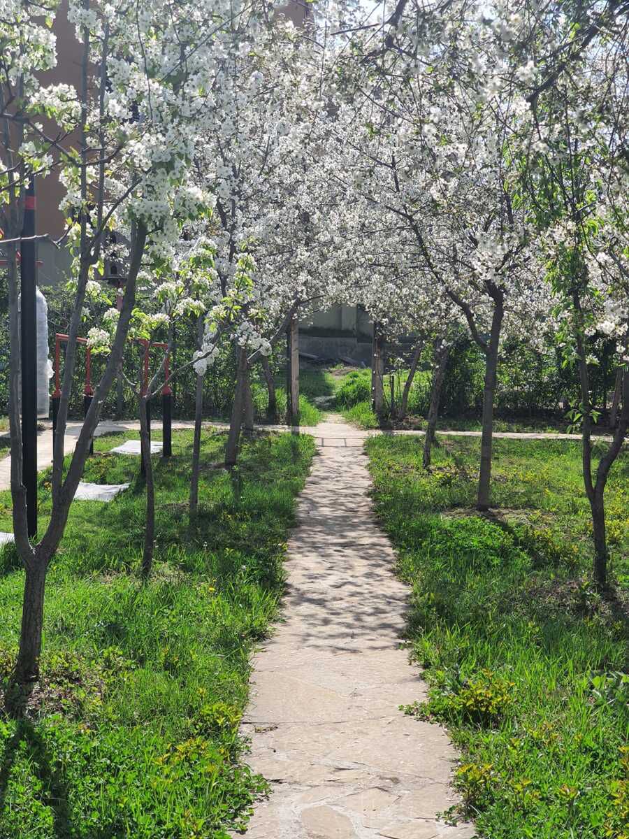 Satılır 2 otaqlı həyət evi/bağ evi 84.3 m² — Ev, villa, Bakı (11)