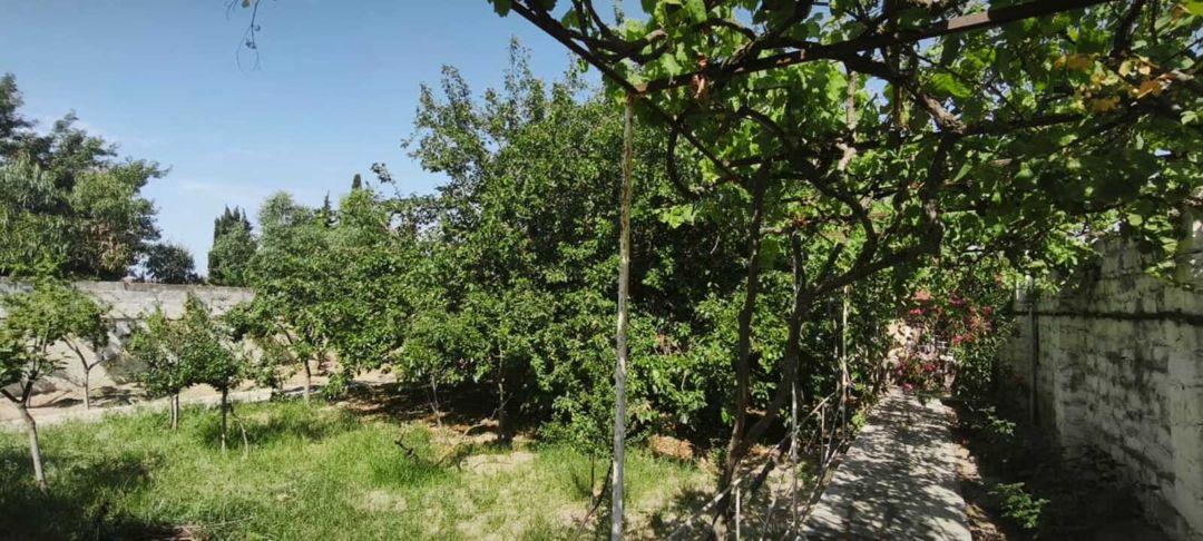 Satılır 3 otaqlı həyət evi/bağ evi 190 m² — Ev, villa, Bakı (3)