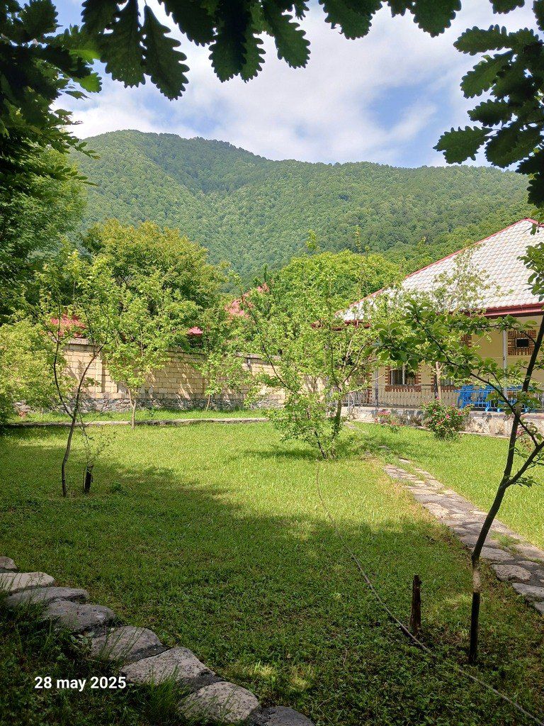 Həyət evi kirayə verilir, Qəbələ ş. — Daşınmaz əmlak, Qəbələ (6)