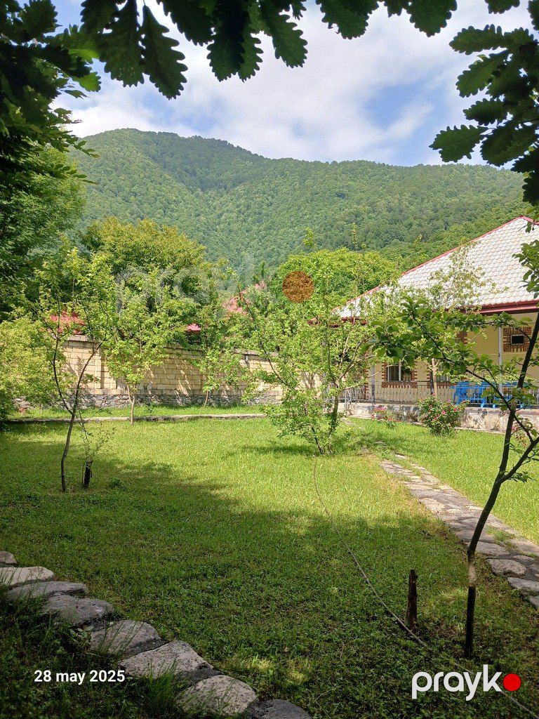 Həyət evi kirayə verilir, Qəbələ ş — Ev, villa, Qəbələ (6)