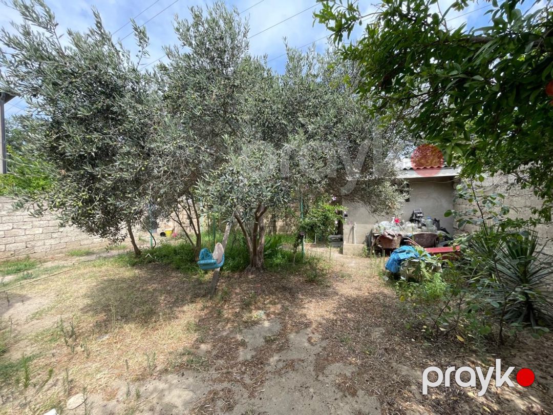 1 sot torpaq sahəsi, Albalı qəs. — Torpaq, Bakı (8)