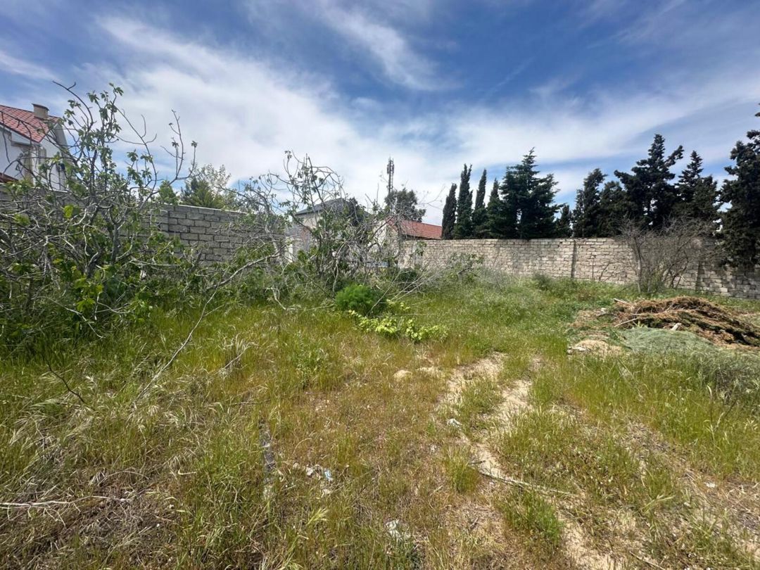 Satılır torpaq 34 sot — Torpaq, Bakı (11)