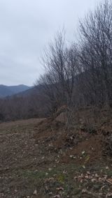 Satılır torpaq 6 sot — Land plot
