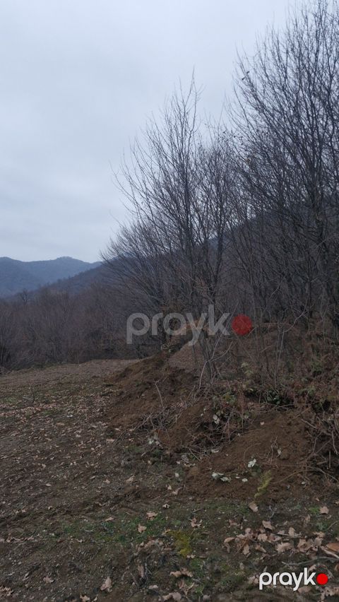 Satılır torpaq 6 sot